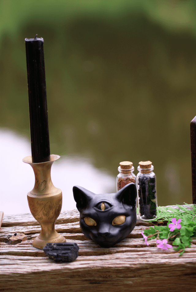 Tête de Chat Noir "Troisième regard" 