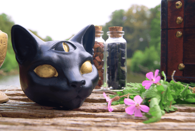 Tête de Chat Noir "Troisième regard" 
