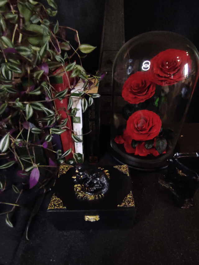 Coffret "Rêve du Chat-Dragon"
