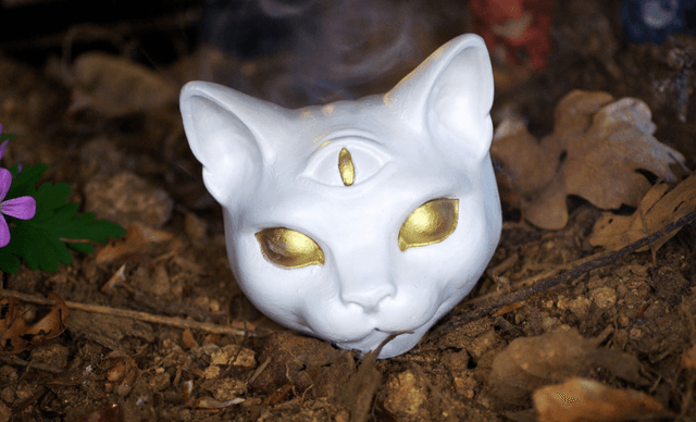 Tête de Chat Blanc « Le troisième regard »