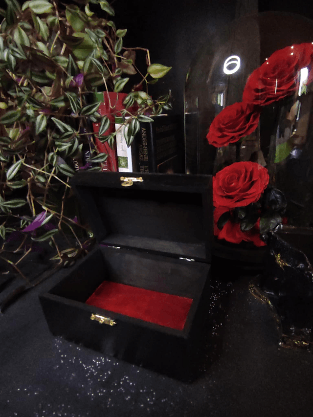 Coffret "Gardien Sphynx Noir"