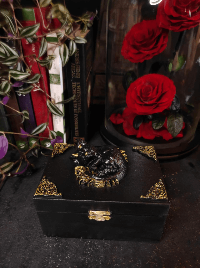 Coffret &quot;Rêve du Chat-Dragon&quot;